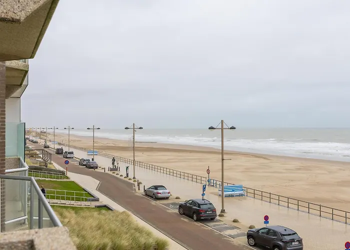 Duinroos - 0204 + Park. 0204